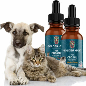 CBD Hemp Oil for Pets