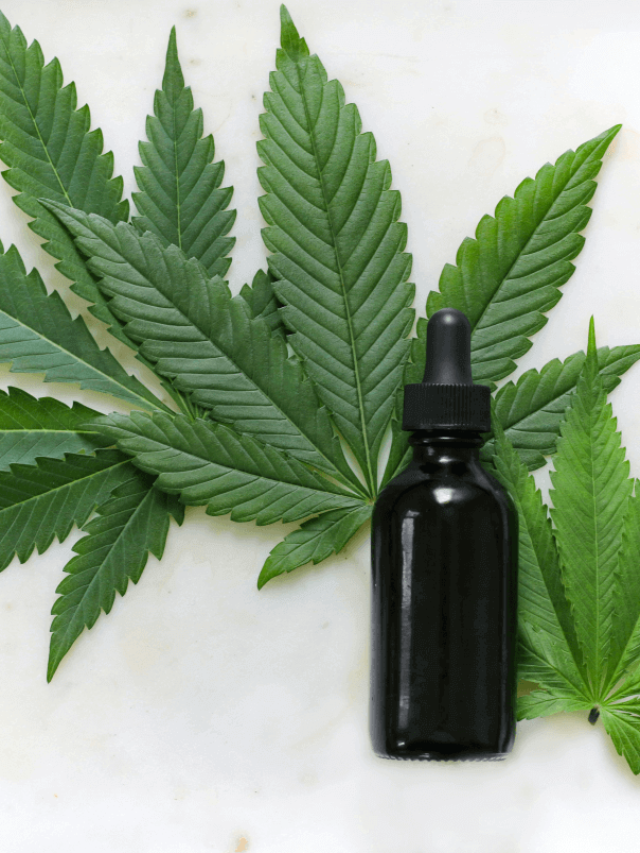 Choosing a CBD Oil That’s Right For You