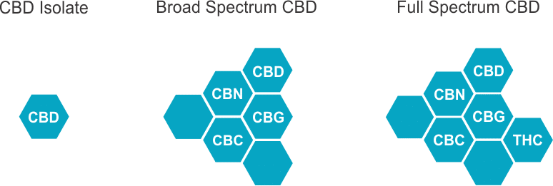 CBD Isolate Broad Spectrum Full Spectrum 1 -