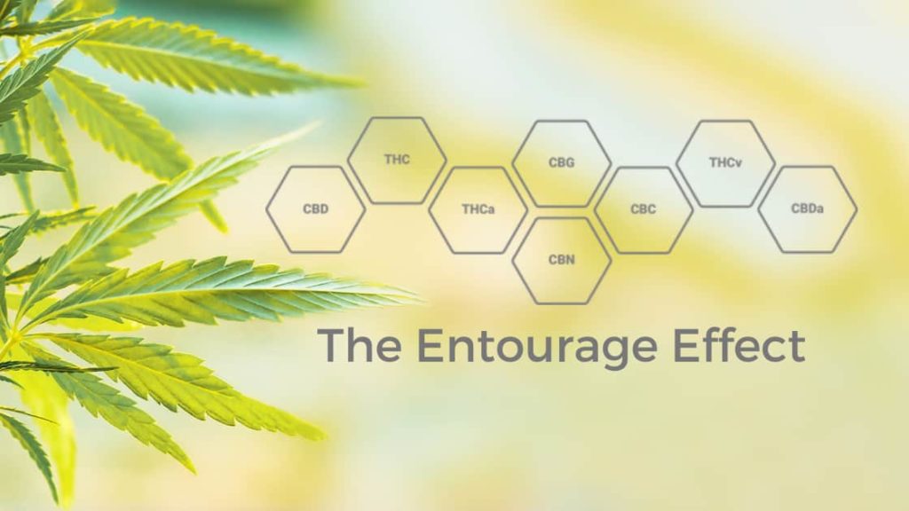 What is the Entourage Effect