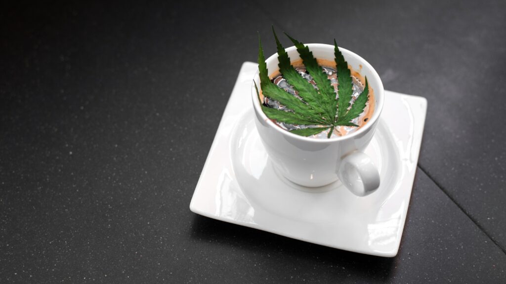 CBD Coffee vs. Regular Coffee: Which is Better for You?