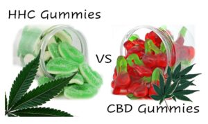 HHC Gummies vs Traditional CBD Gummies