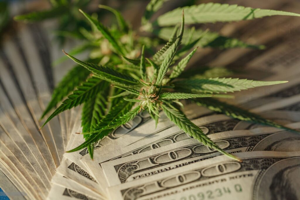 Economic Benefits of Legalizing Cannabis